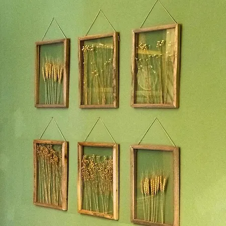 Appartement La Casa Di Amelie *